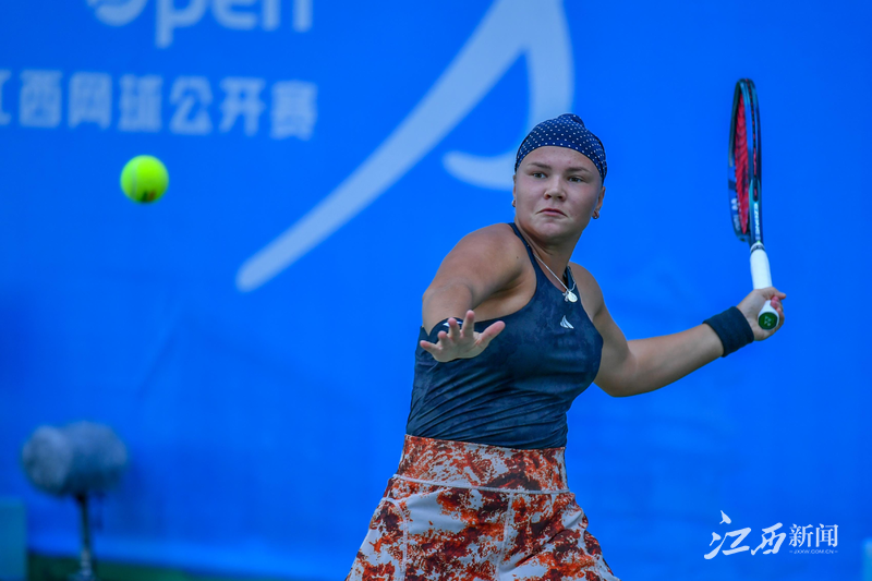 不会以任何 不会以任何